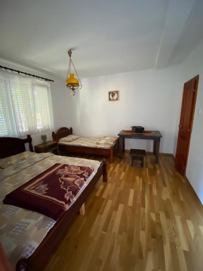 Guest House Radoman Вирпазар Екстериор снимка