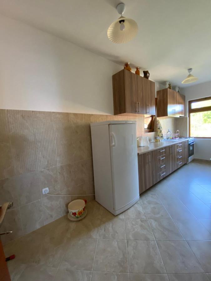 Guest House Radoman Вирпазар Екстериор снимка